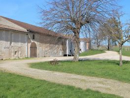 Château La Freynelle